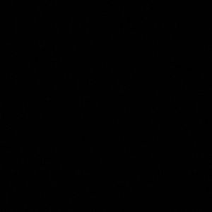 Meet your Posher, Ela